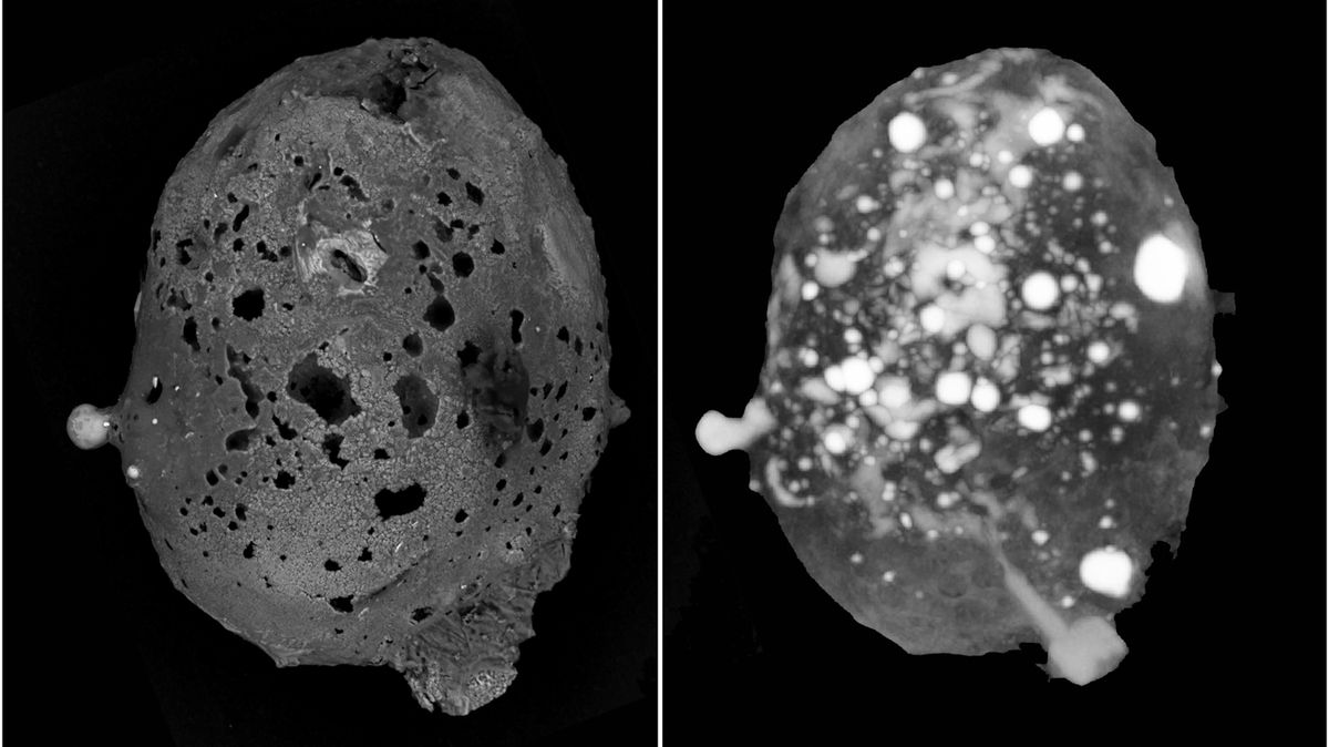 Italové našli jeden z nejvzácnějších mikrometeoritů